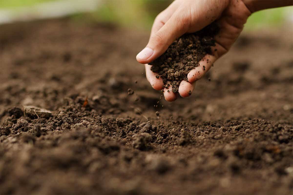 Booth Street soil test not needed
