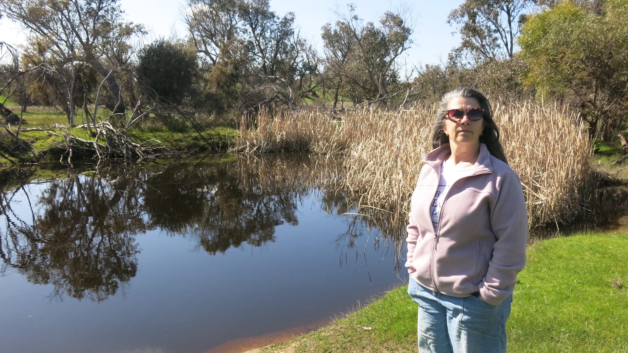 Collie objects: But green light given for battery and solar farm