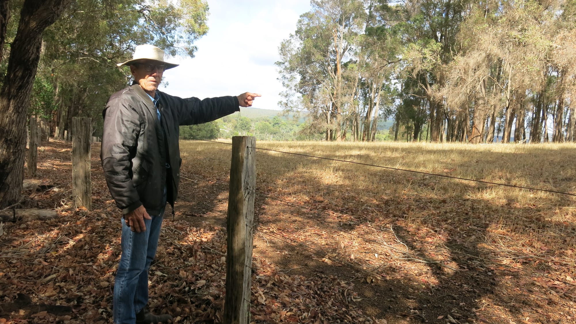 Allanson mobile tower approved