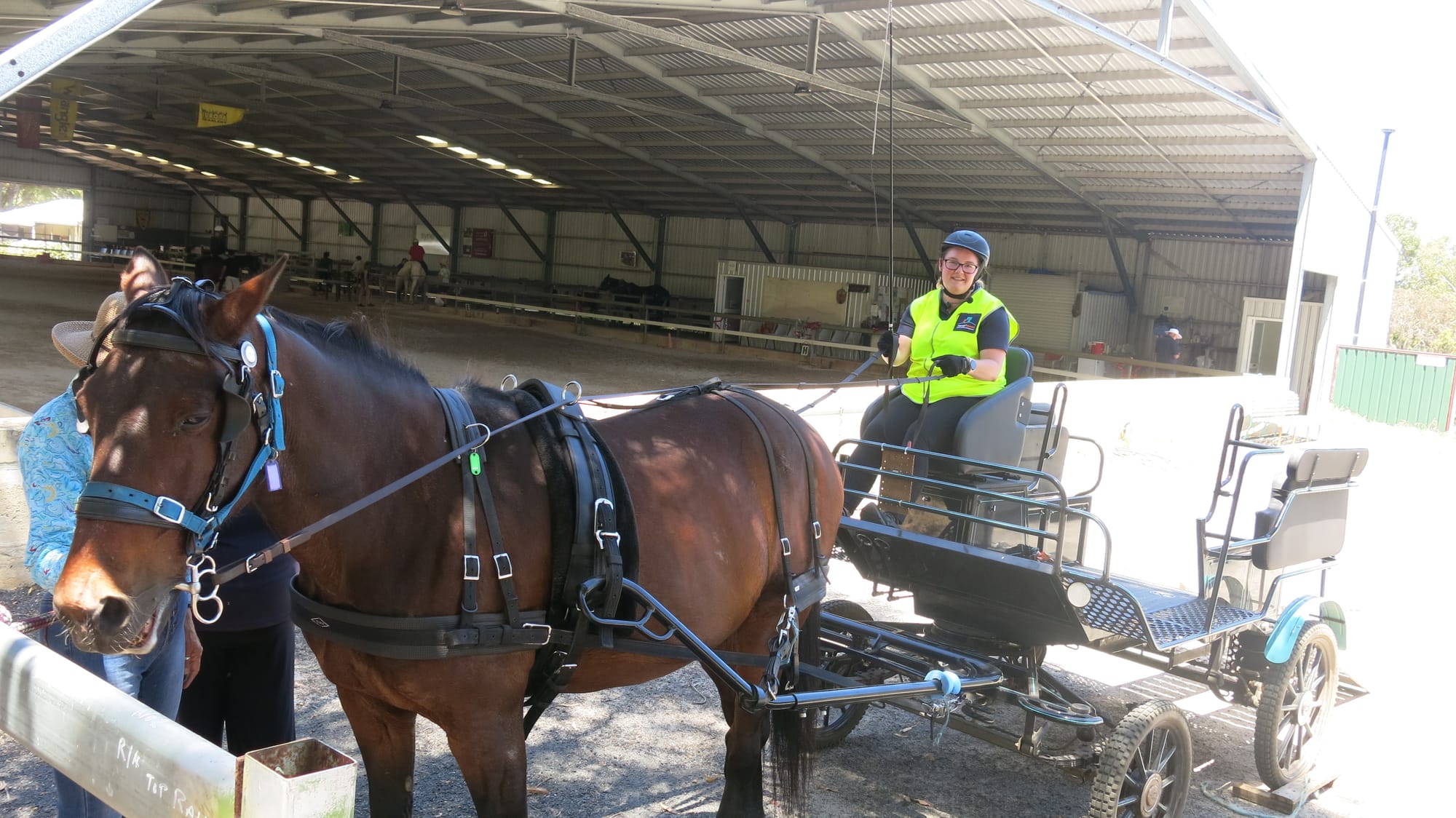 Trainer meets carriage challenge