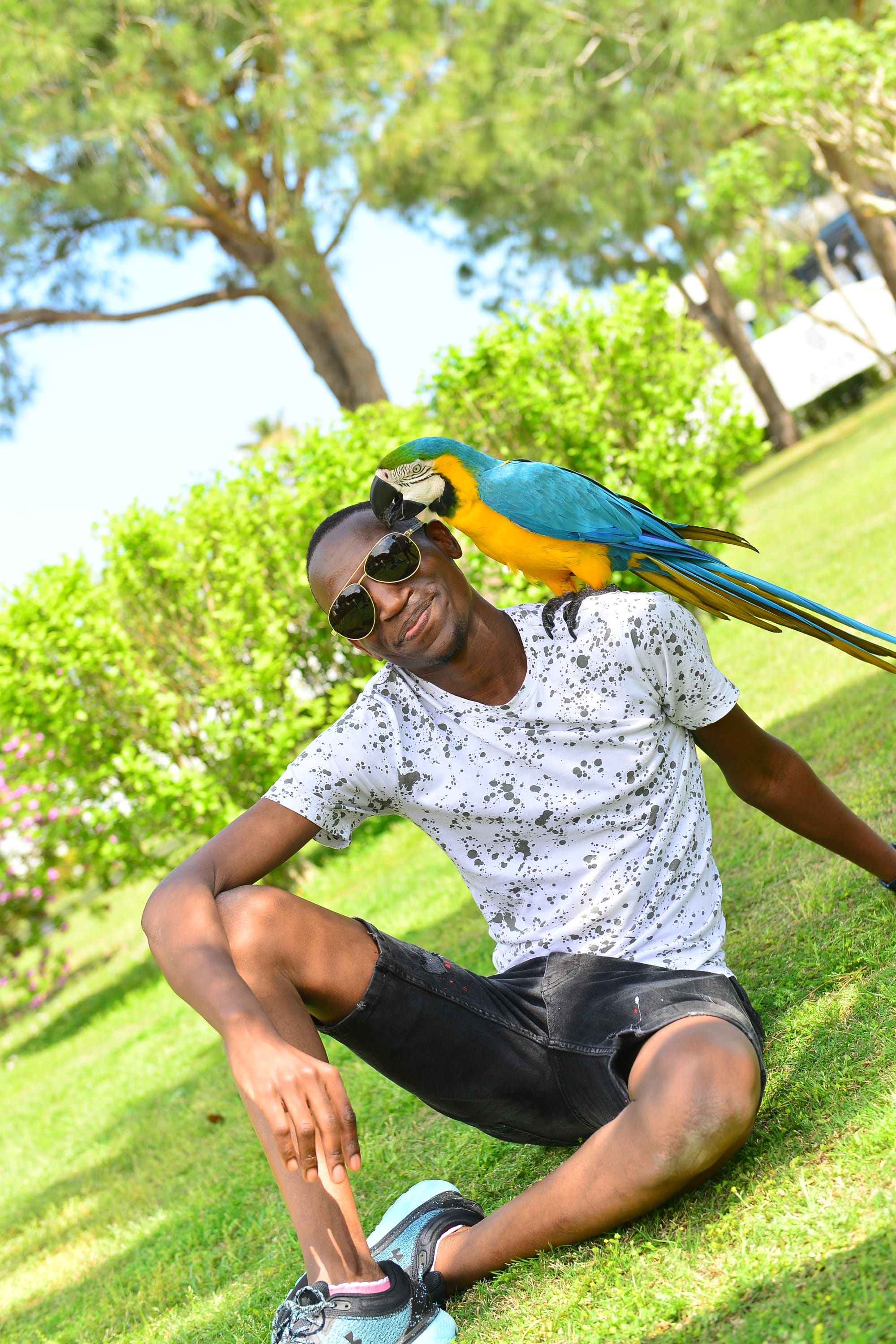 Dr Bhebhe took the long road to collie