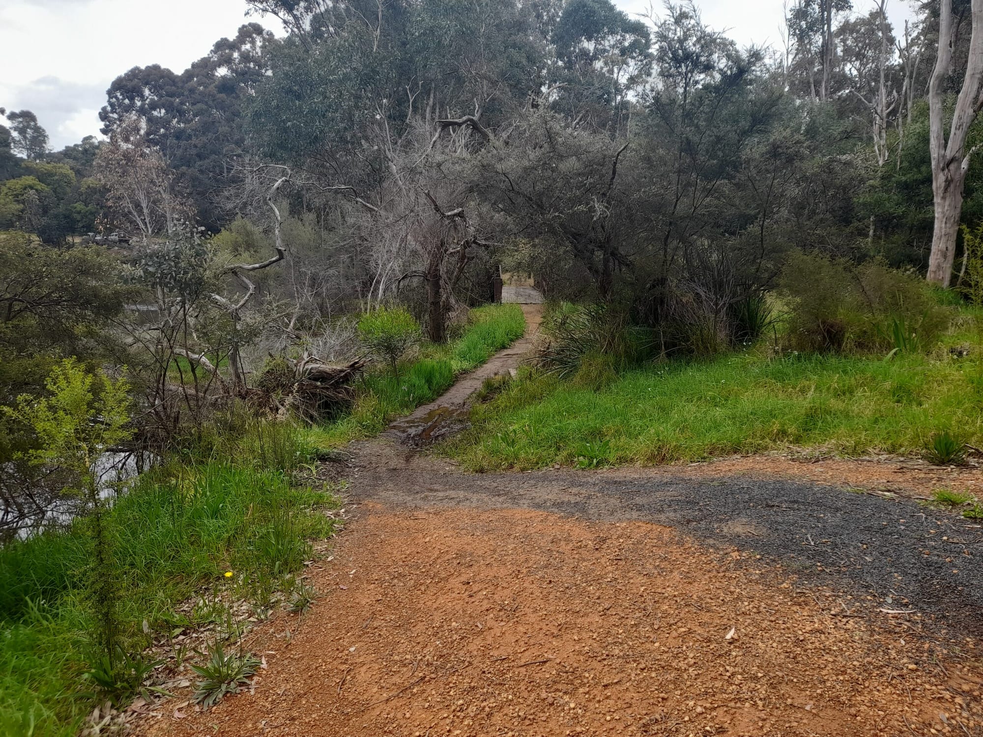 Jack Mears spring to get upgrade