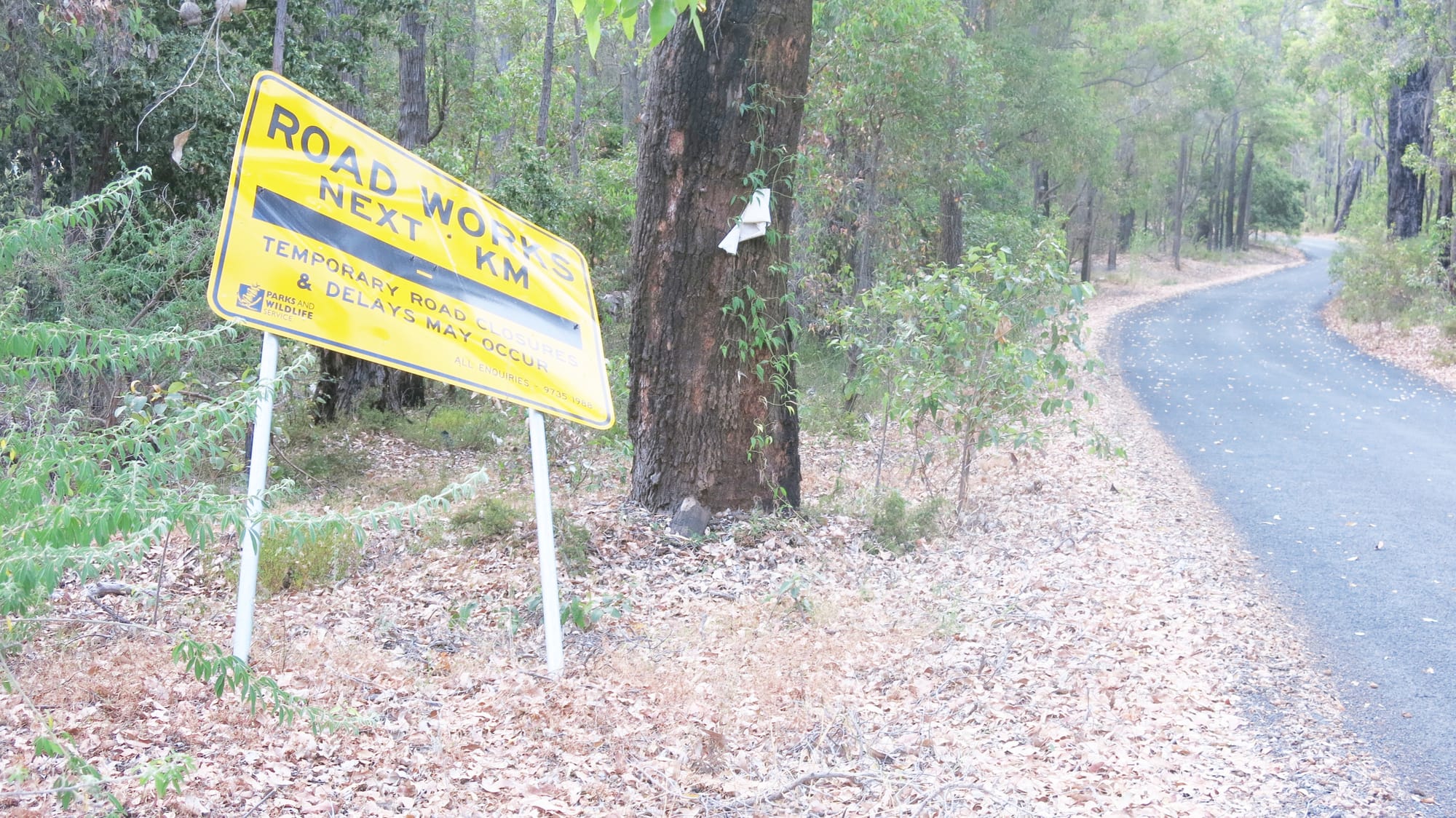 Scenic Drive safety issues: ‘Wanton vandalism’ endangering road users