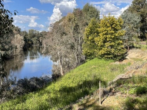 Dire hopes for the river's future health