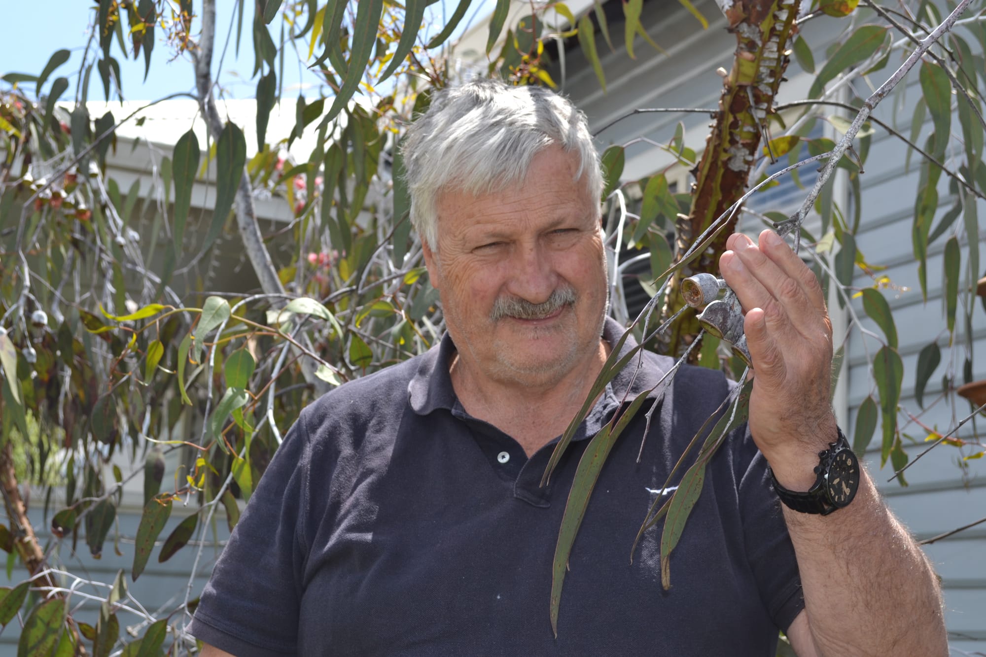 Tom’s a man of the trees