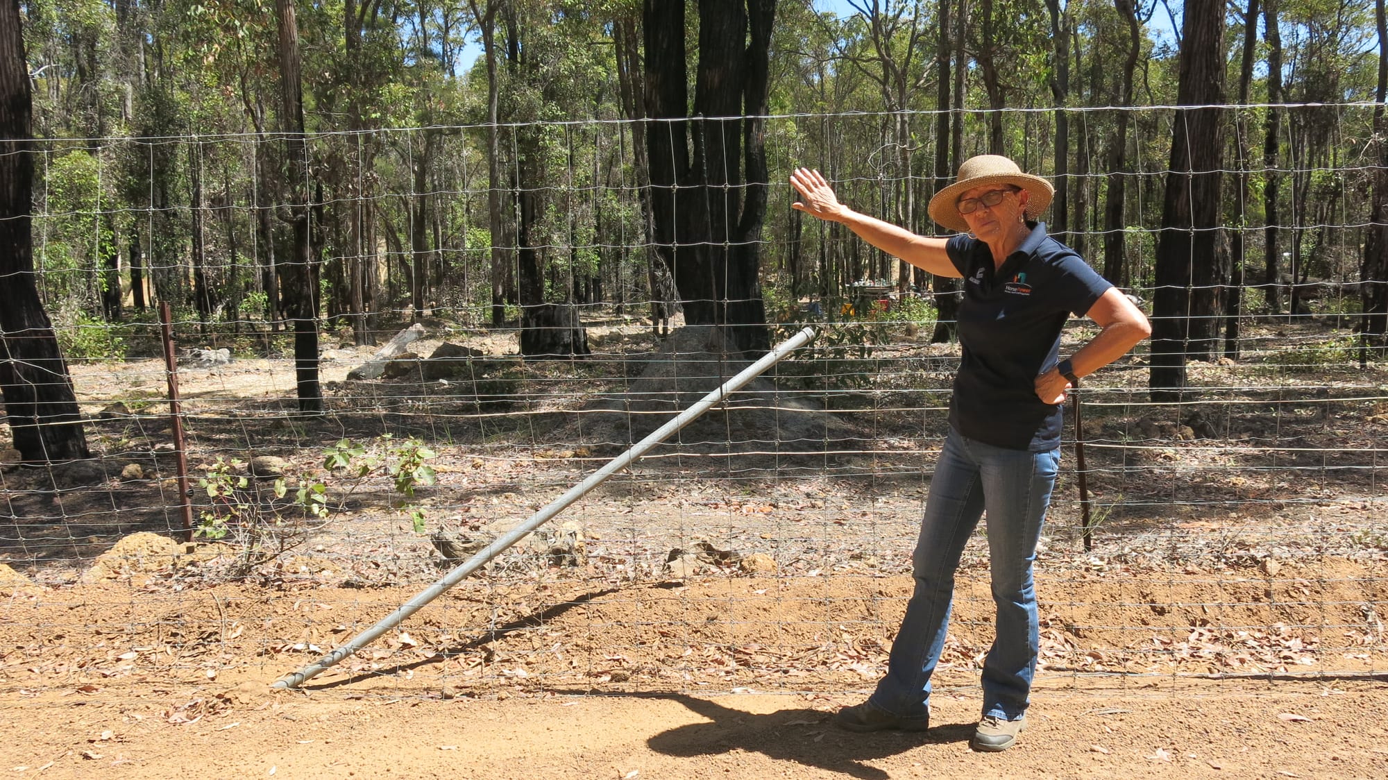 HorsePower fed up with fence damage