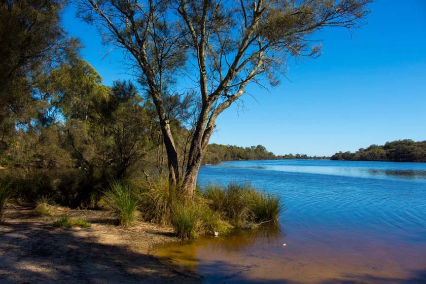 River award undermines its health concerns post image