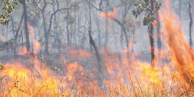 Deliberately lit fire concerns post image