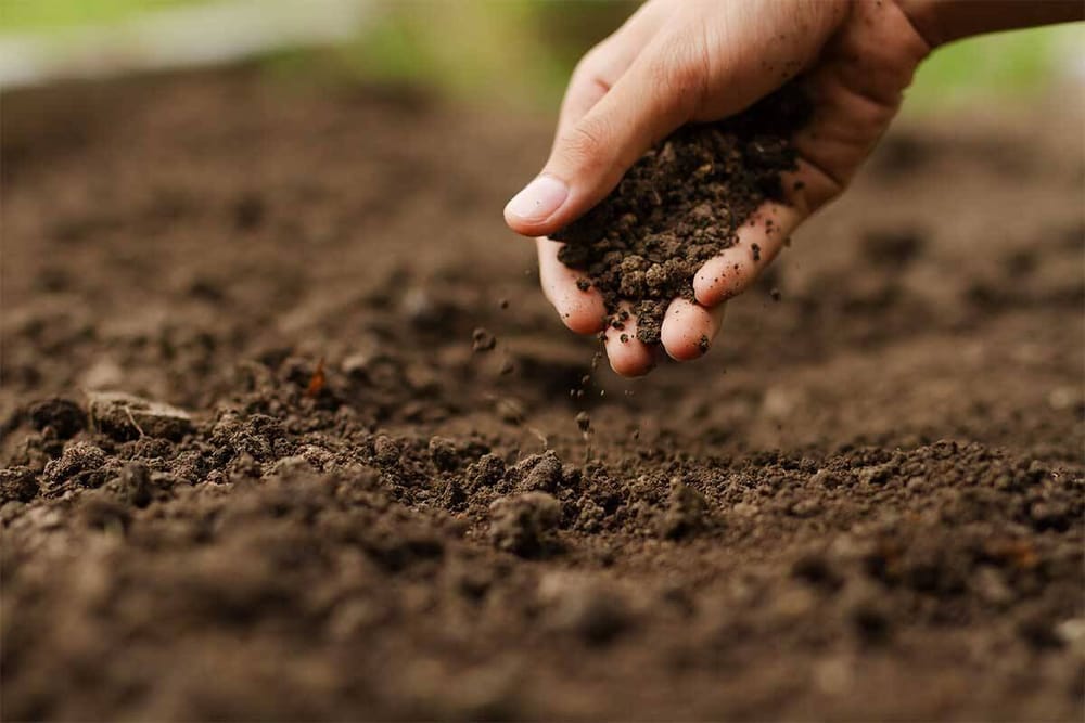 Booth Street soil test not needed post image