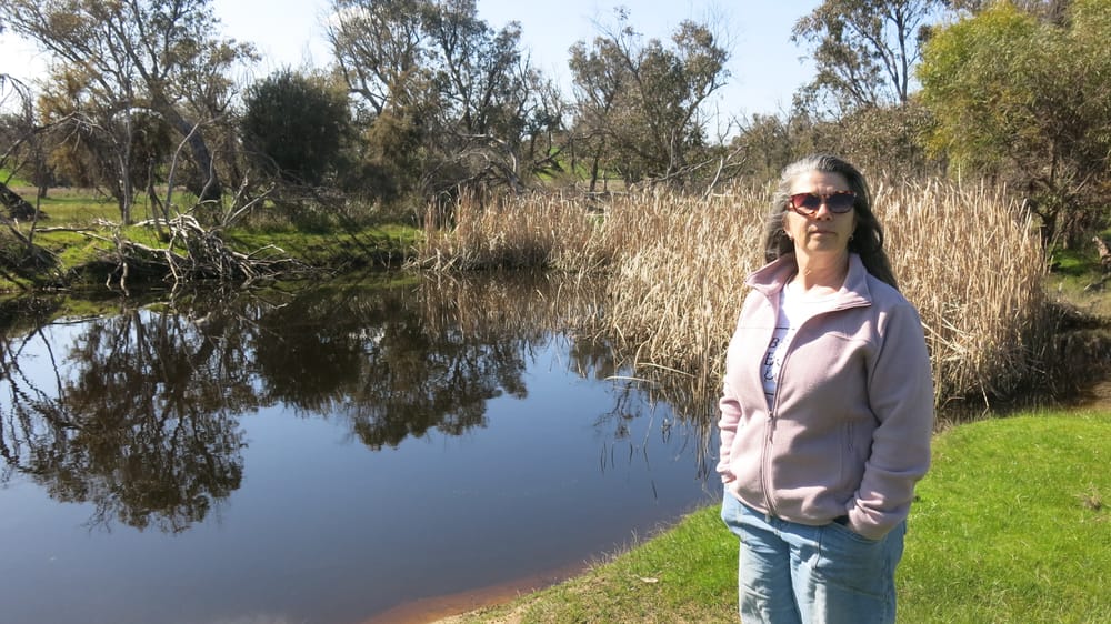 Collie objects: But green light given for battery and solar farm post image