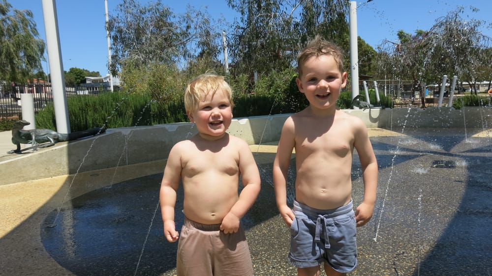 Collie swelters in early heat post image