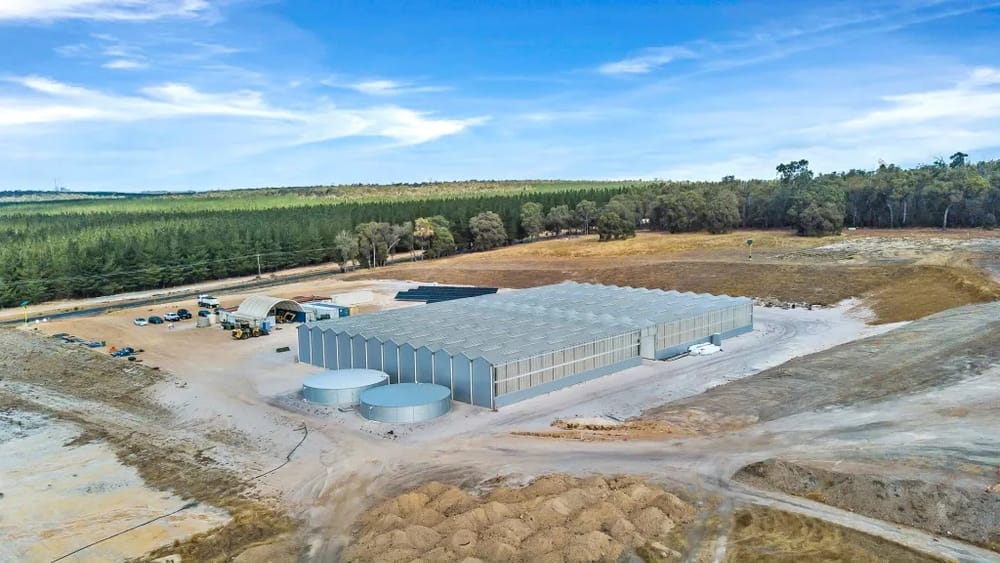 Businessman sees future for cannabis post image