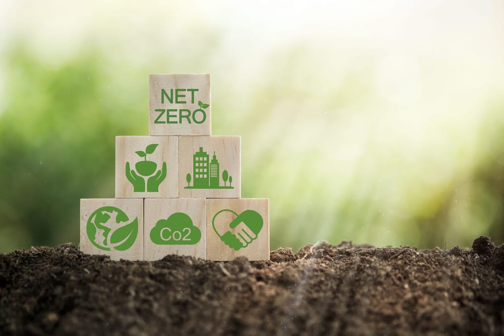 State support not enough on path to net zero post image