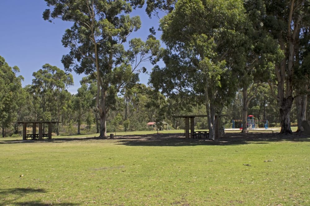 Female runner urges caution after motorcycle incident post image