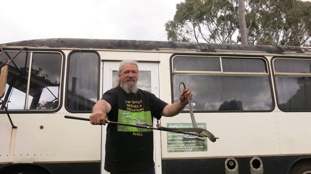 Snakes active as weather warms up post image