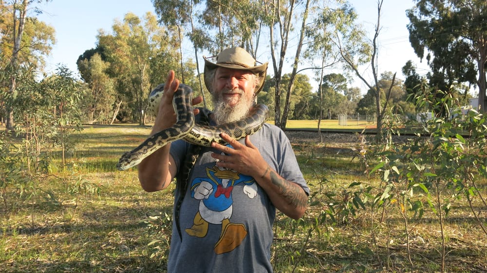 Stay calm and steer clear of snakes post image