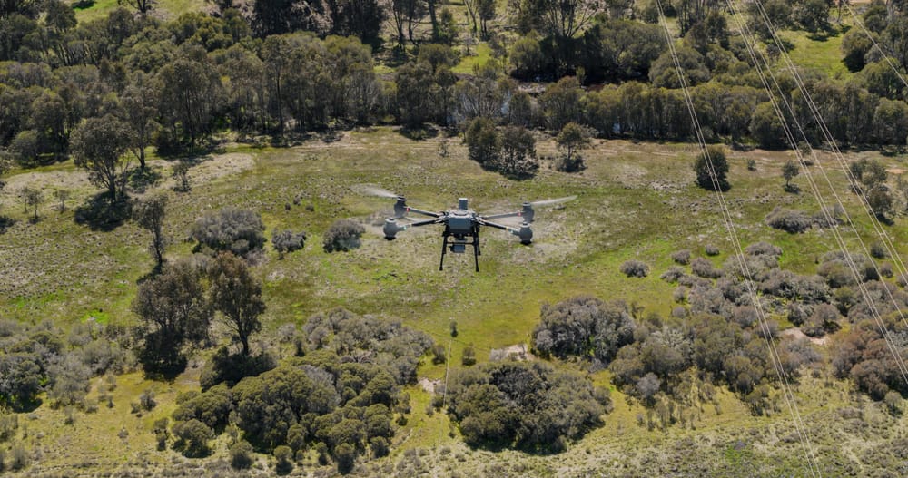 Drones deployed post image