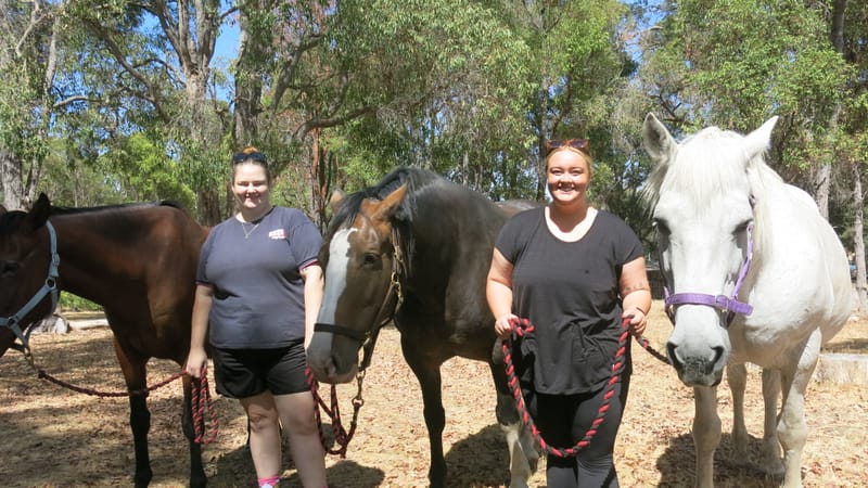 Volunteers learn new skills post image