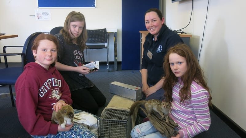 Nature learning at the library post image