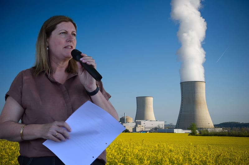 MLA slams Libs’ nuclear view post image