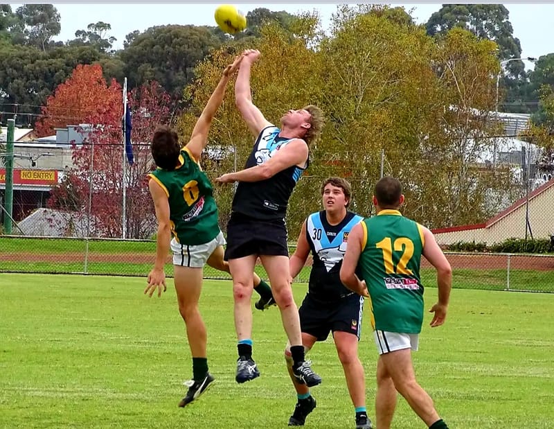 Eagles challenge Hawks post image