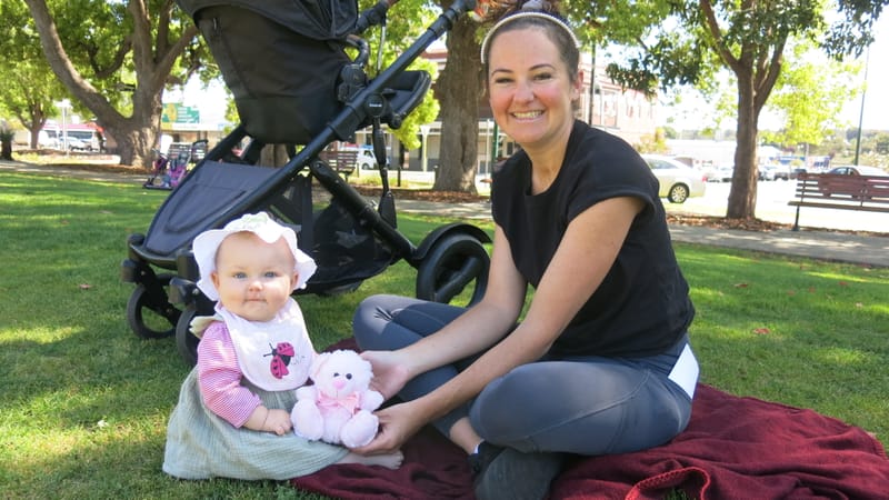 Teddies in the park post image