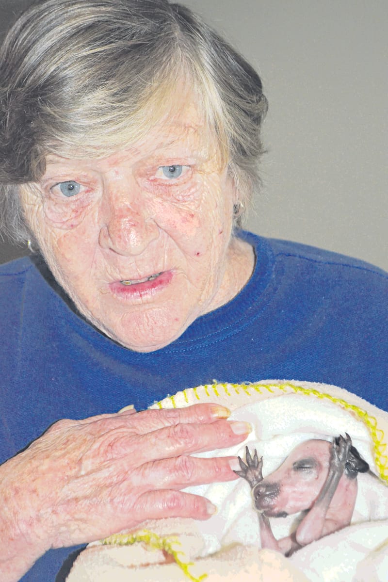 Wildlife will miss Wendy post image