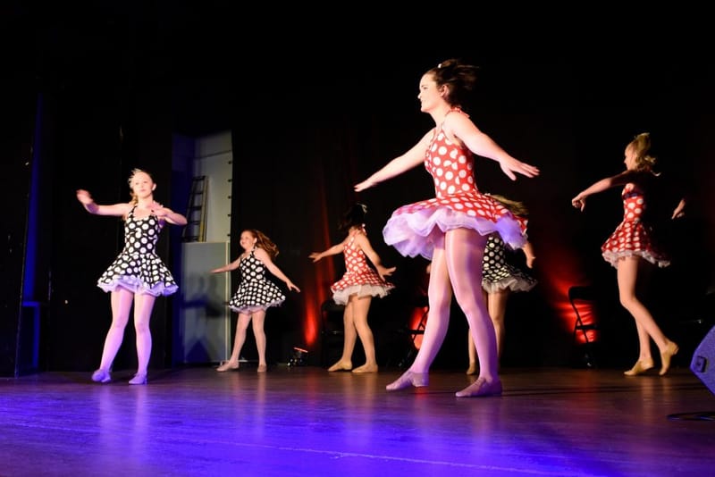 Festiv Arty 2024 cancelled post image