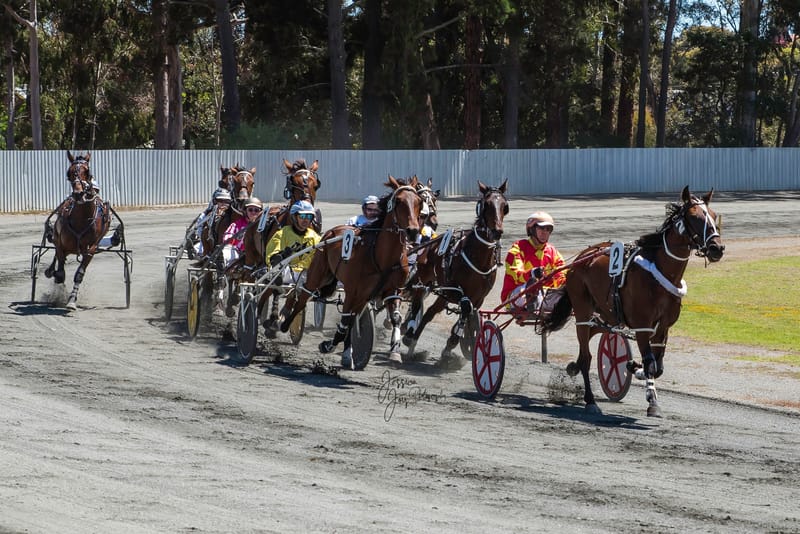 Trots short-term future assured post image