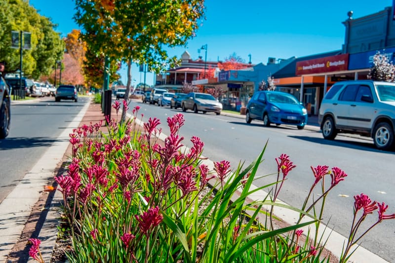 Collie a Tidy Towns finalist post image