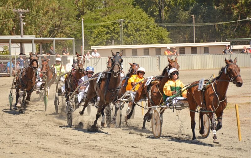 More long- priced winners for Wheeler post image