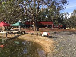 Shire support lacking says Yourdamung owner post image