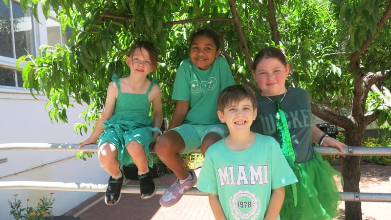 Green is great at Amaroo post image