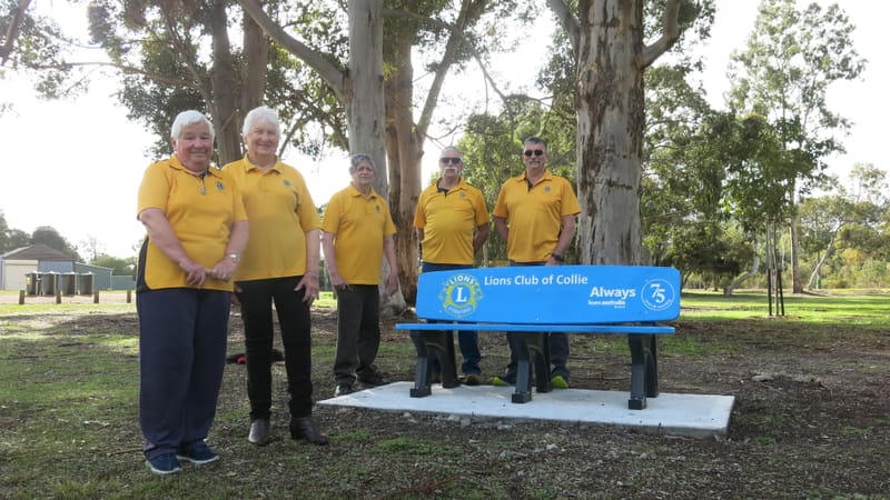 Bold new park benches post image