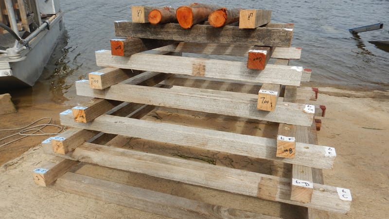 Fish hotels are futile post image