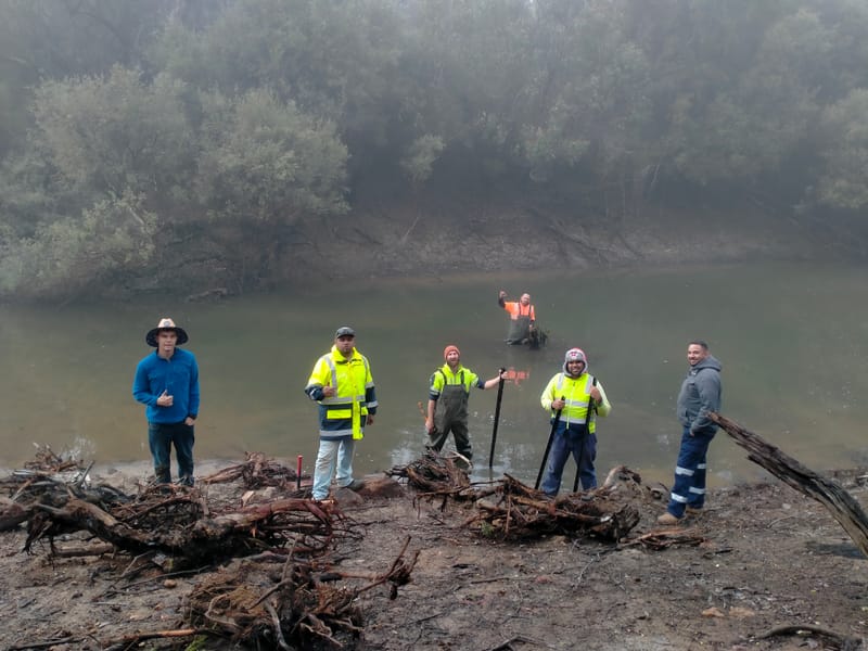 Fish hotels deployed post image