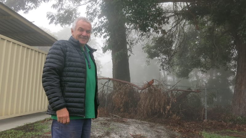 Falling tree limbs a danger, councillors told post image