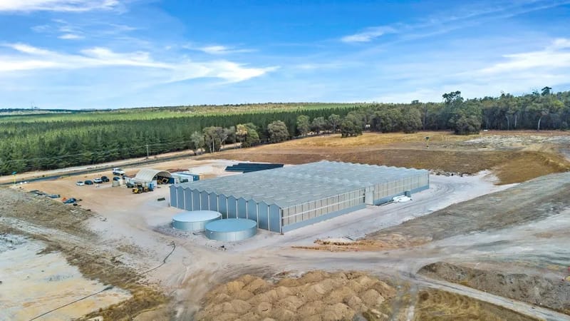 Businessman sees future for cannabis post image