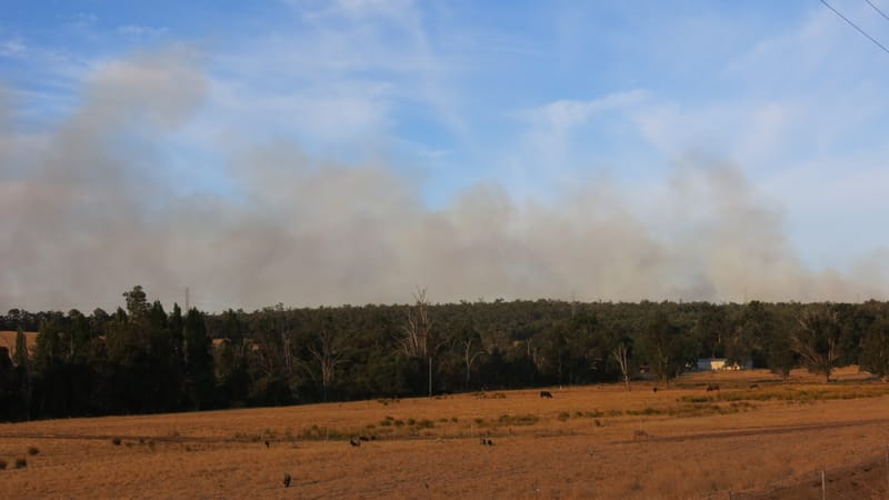 Collie Hills evacuated during bushfire post image
