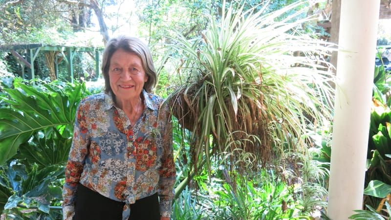 Visitor numbers jump post image