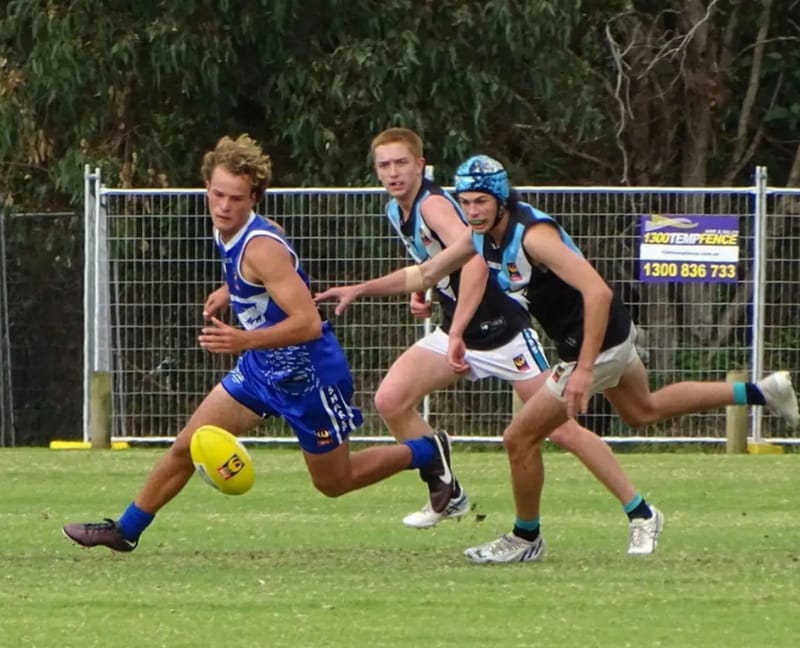 Eagles can’t match it with the Sharks post image