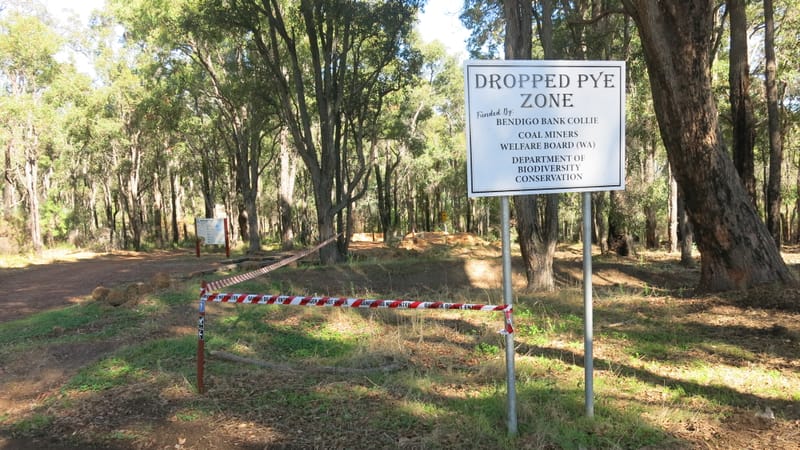 Trails damage investigation post image