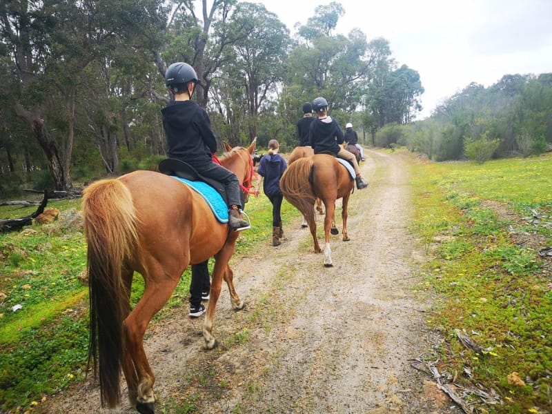 Horse school given go ahead post image