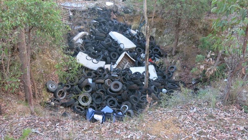 'Environmental timebomb' post image