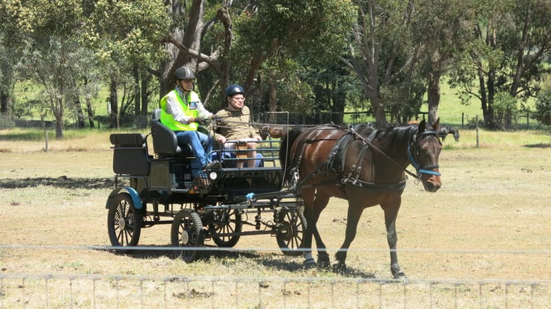 Carriage orientation educates post image