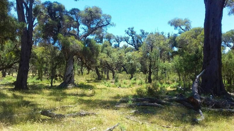 Road named for Banjo post image