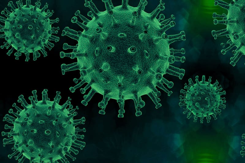 Minningup's COVID distraction post image