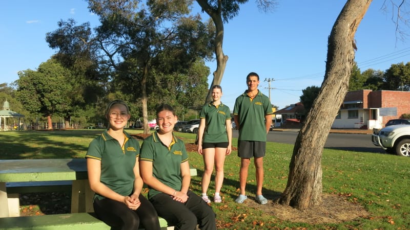 Locals play for Oz in NZ post image