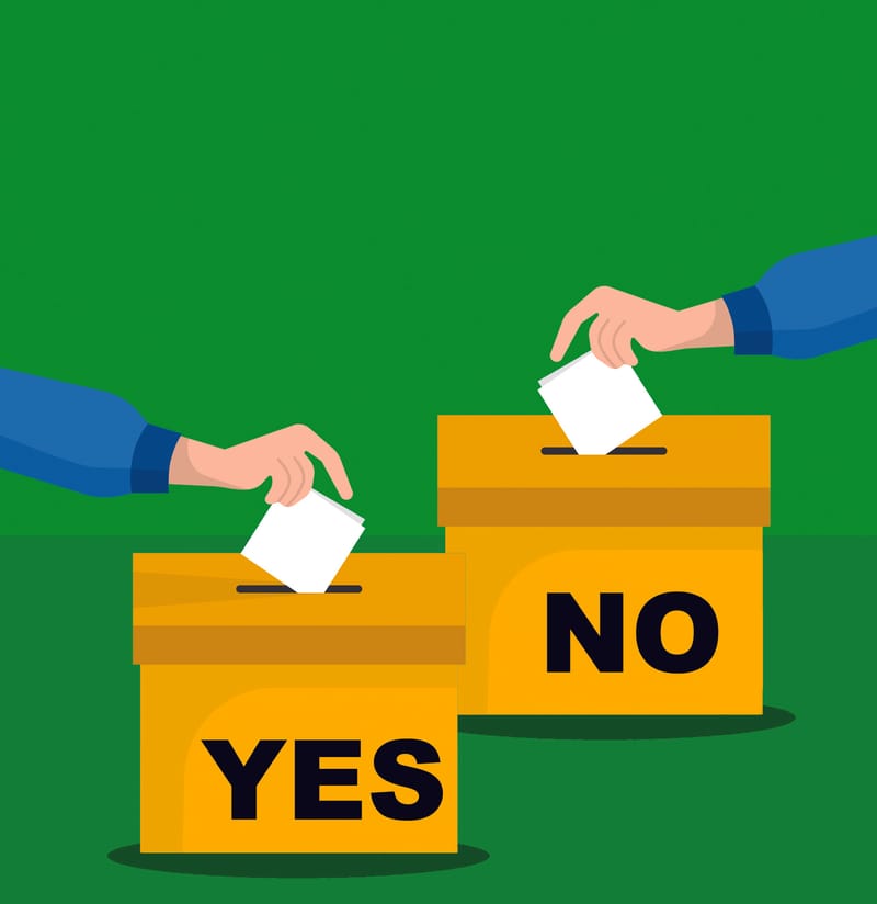 Council favours voluntary voting post image