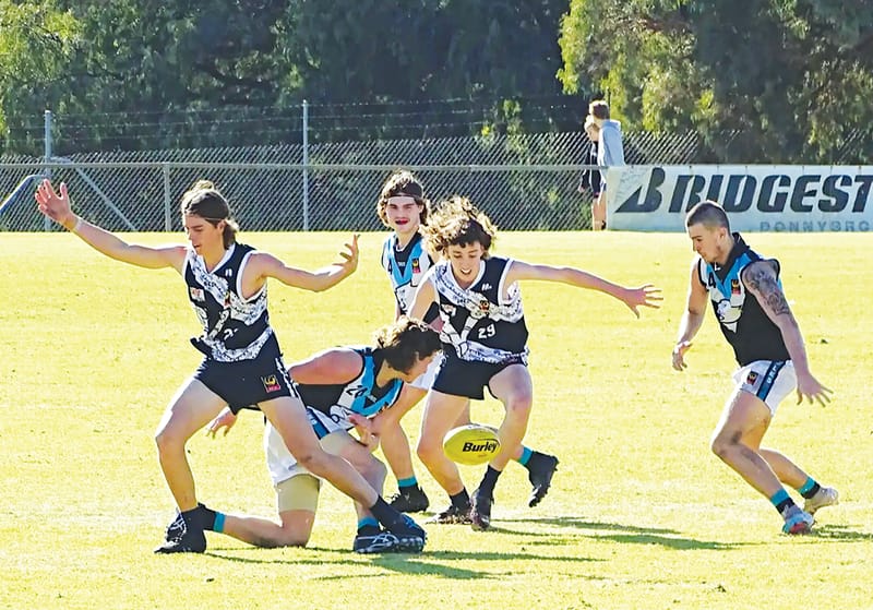 Eagles press fancied Dons post image